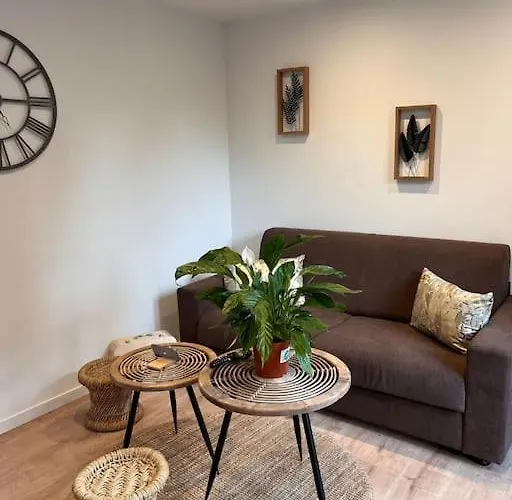 Appartement Beau Loft Proche Mont Saint Michel Jaccuzi Illimité En Plein Centre *