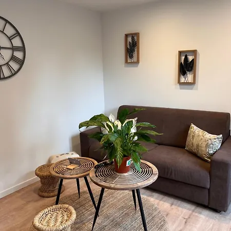 Beau Loft Proche Mont Saint Michel Jaccuzi Illimite En Plein Centre דירה אברנשה